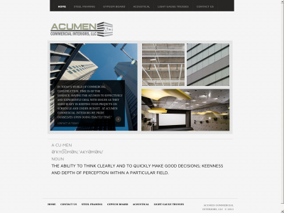 acumenllc.net snapshot