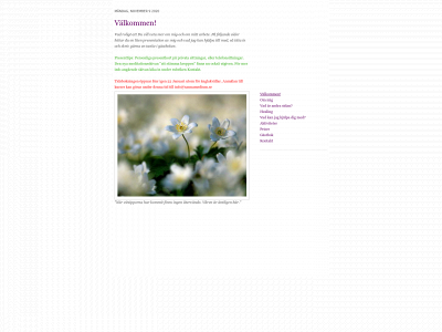 sannamedium.se snapshot