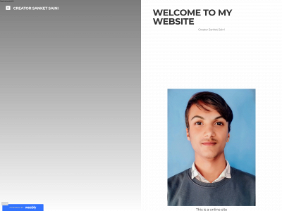 sanketsaini65.weebly.com snapshot
