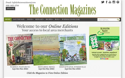 theconnectionsnj.com snapshot