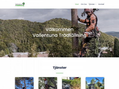 vallentunatradfallning.se snapshot