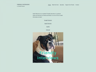 friendlyinterviews.com snapshot