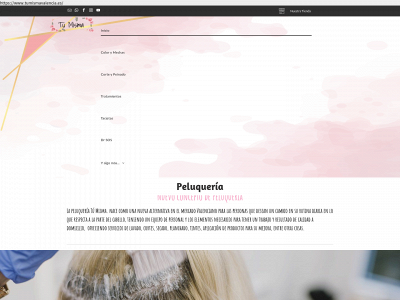 tumismavalencia.es snapshot
