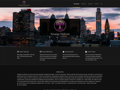 synergydelivers.com snapshot