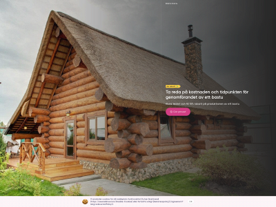 bastu.store snapshot