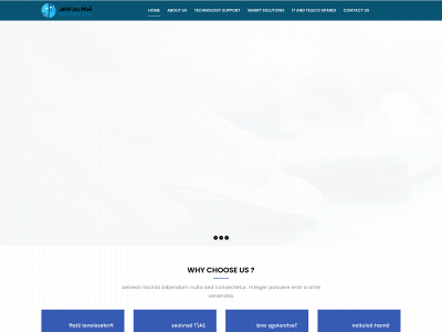 solutionsicon.com snapshot