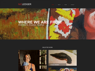 nicledger.co.uk snapshot