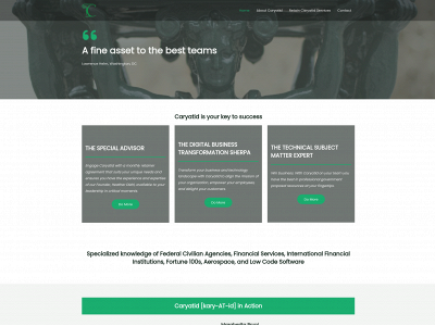 caryatidsystems.com snapshot