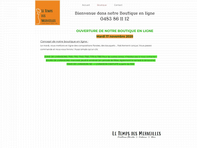 letempsdesmerveilles.be snapshot