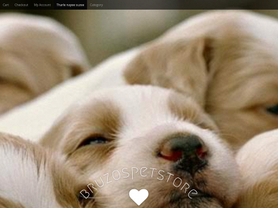 bruzospetstore.com snapshot