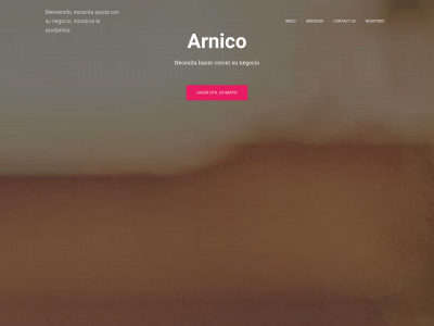 arnicosoft.com snapshot