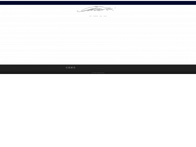 amcrovetti.com snapshot