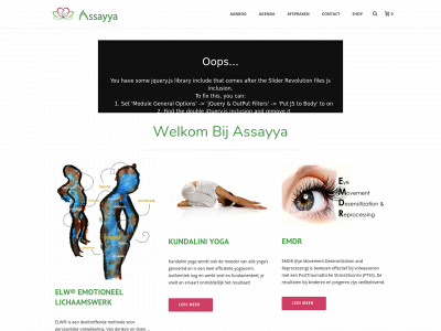 assayya.be snapshot