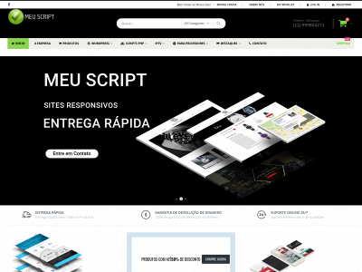 meuscript.site snapshot