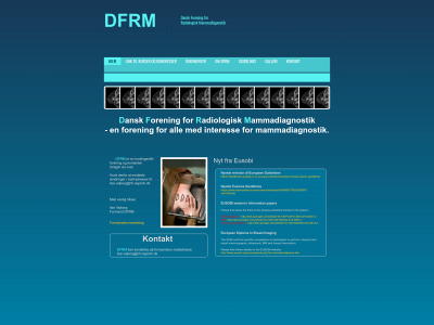 dfrm.dk snapshot