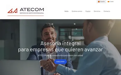 consultoriaatecom.es snapshot