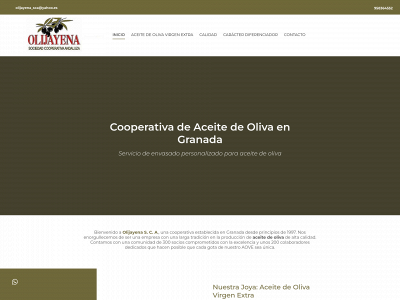 olijayena.es snapshot