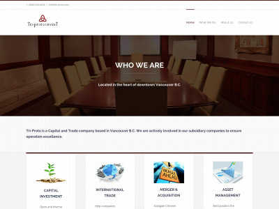 tri-proto.com snapshot