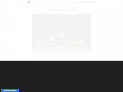 www.tuchscherdesign.com snapshot