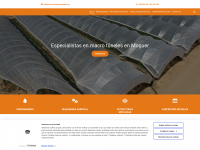 www.tallermetalicoelgolpe.es snapshot