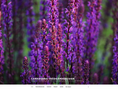 caradonna.se snapshot