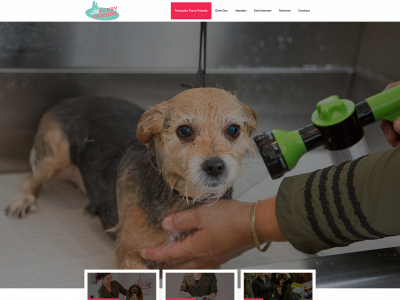 trimsalonfurryfriends.nl snapshot