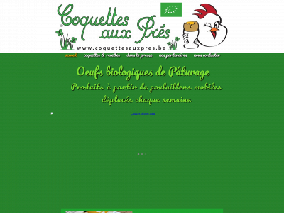 coquettesauxpres.be snapshot