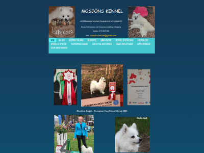 mosjons.se snapshot