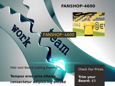 fanshop4600.com snapshot