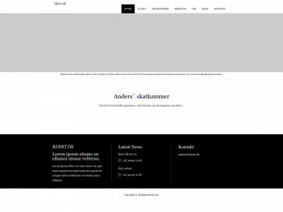 bjaert.dk snapshot