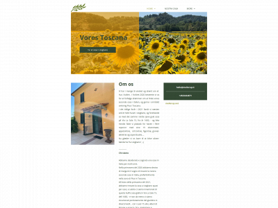 mellerup.it snapshot