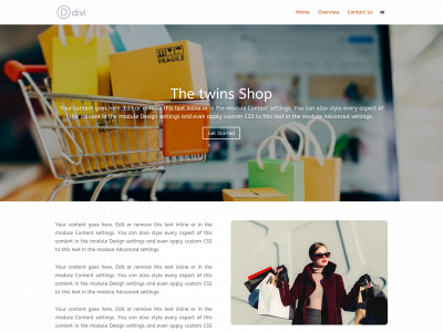 thetwinsshop.com snapshot