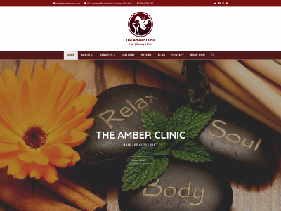 theamberclinic.com snapshot