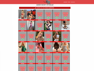 mersinescortcicikizlar.com snapshot