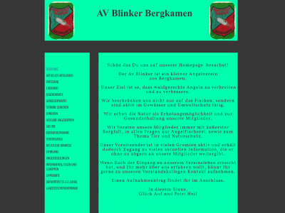 av-blinker.de snapshot