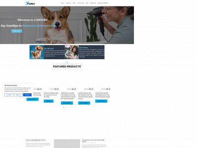 candure.com snapshot