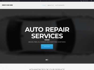 gregscarcare.com snapshot
