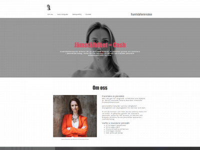 framtidsfeministen.se snapshot