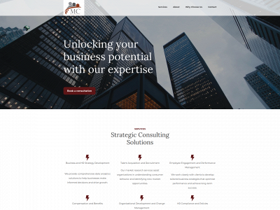 marizonconsulting.com snapshot