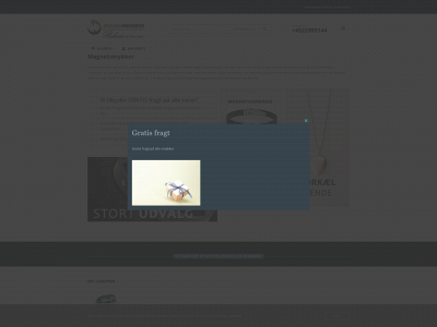 rehnes-shop.com snapshot