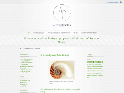affarsprogress.se snapshot