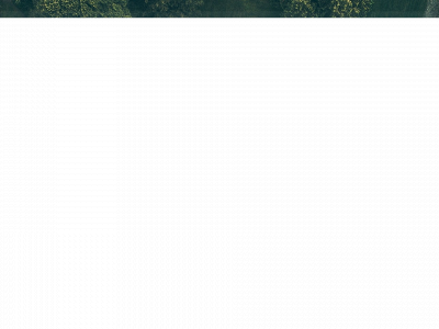 blackbirdco.dk snapshot