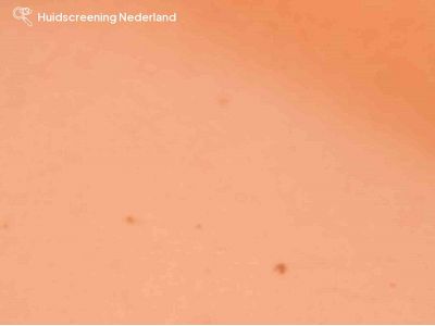 hsned.nl snapshot