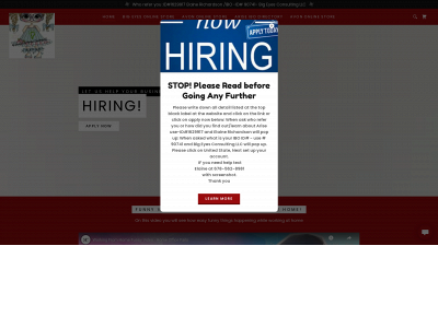 bigeyesconsulting.com snapshot