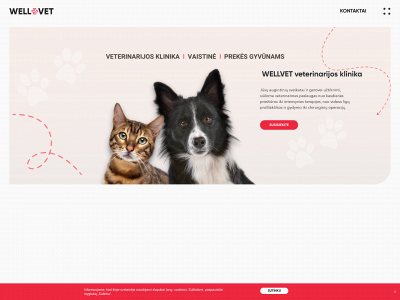 wellvet.lt snapshot