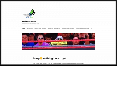 walljamsports.com snapshot