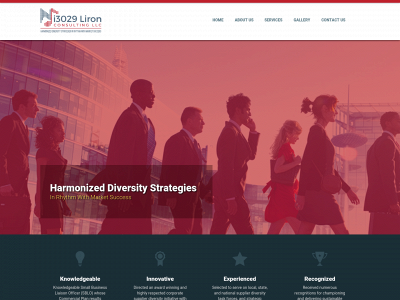 i3029liron.com snapshot