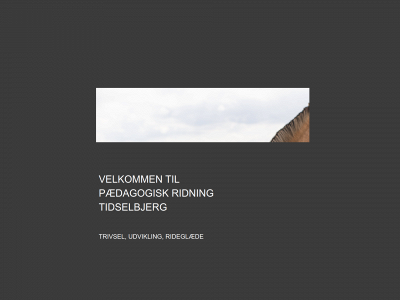 pædridtid.dk snapshot