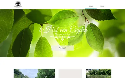 thofvancuylen.be snapshot