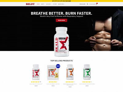 beldtlabs.com snapshot